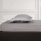 GREENWICH POLO CLUB ΣΕΝΤΟΝΙ ΜΕ ΛΑΣΤΙΧΟ ΜΟΝΟ LOFT 2508 TAUPE