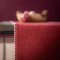 Runner 35x150 GOFIS HOME Rose Orange 114/ 02