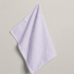 Πετσέτα Κουζίνας 40x60 - Daily B