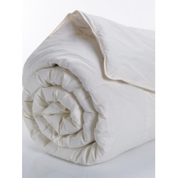 Πάπλωμα White Comfort 240X260 Eco Down Like