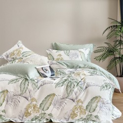 BELLO - ΣΕΤ ΣΕΝΤΟΝΙΑ STATUS