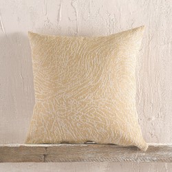 TERRAIN ΜΟΥΣΤΑΡΔΙ - ΜΑΞΙΛΑΡΟΘΗΚΗ