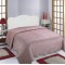 Silk Fashion Κουβέρτα Βελούδο Με Sherpa Nx2211 (160Cm X 220Cm) Syklamen